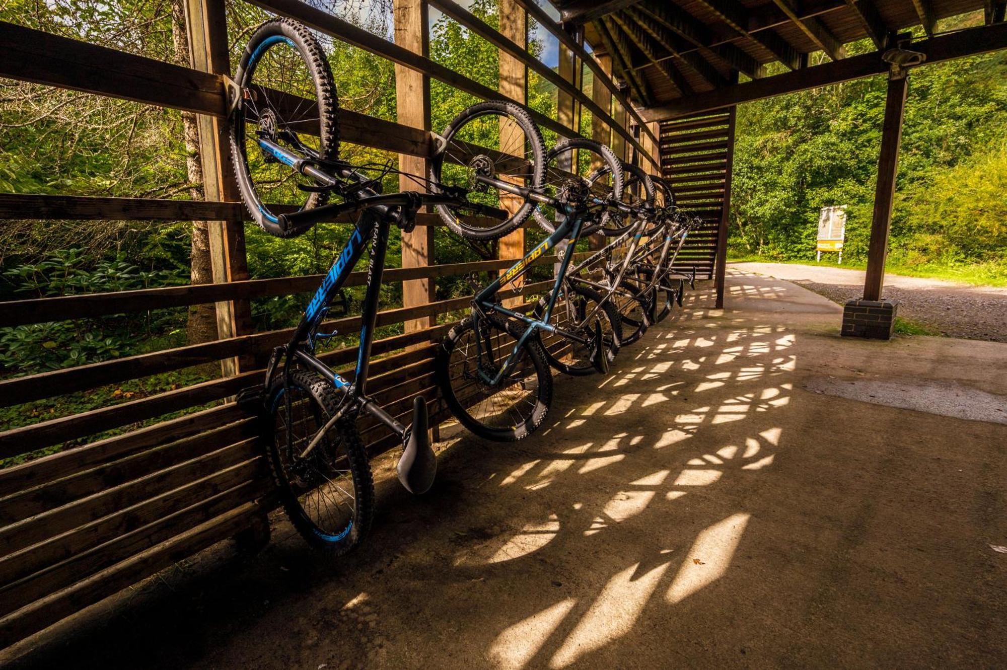 Afan Forest Retreat Cozy Getaway, Pet Friendly Cymmer Экстерьер фото