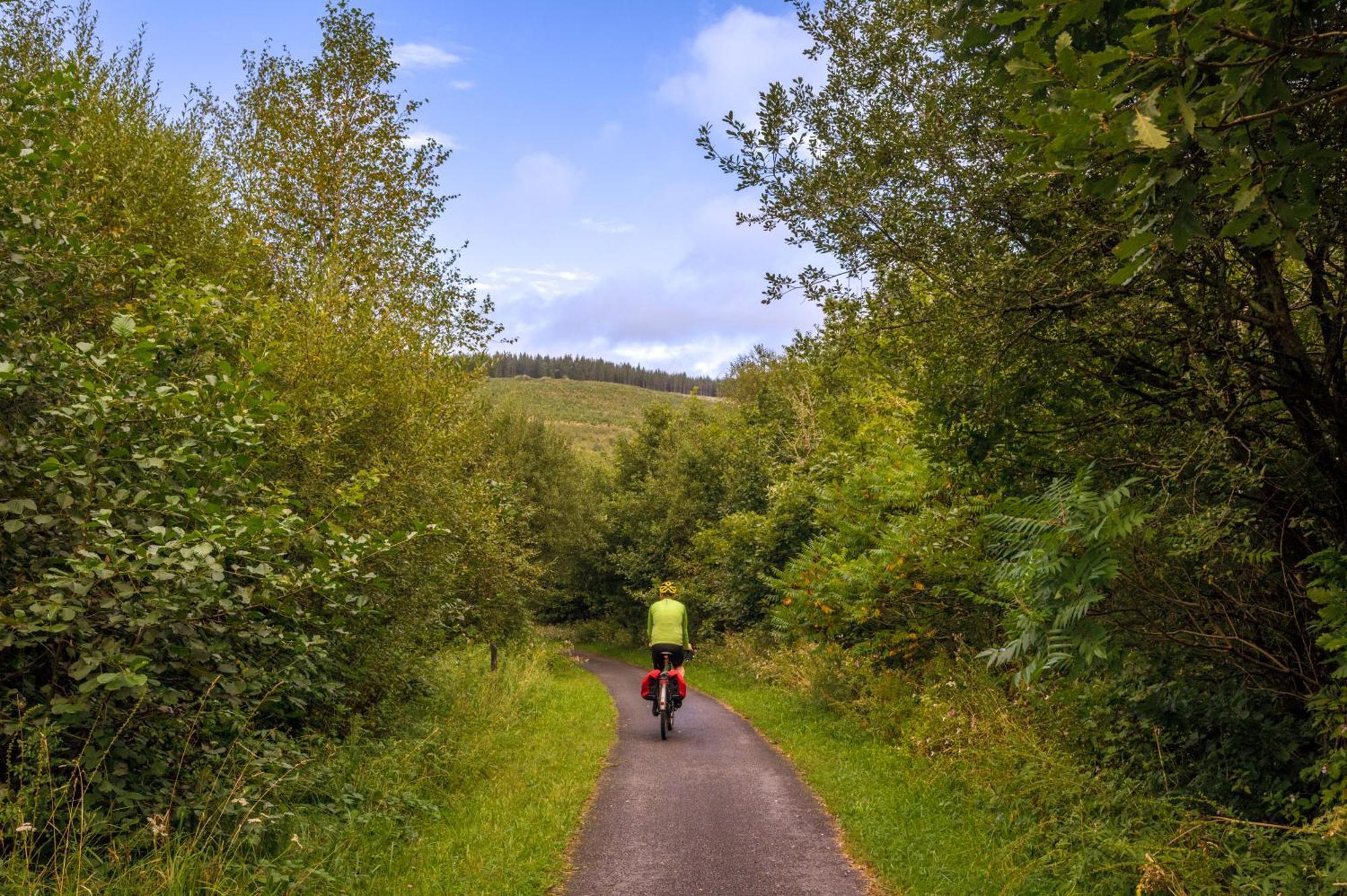 Afan Forest Retreat Cozy Getaway, Pet Friendly Cymmer Экстерьер фото