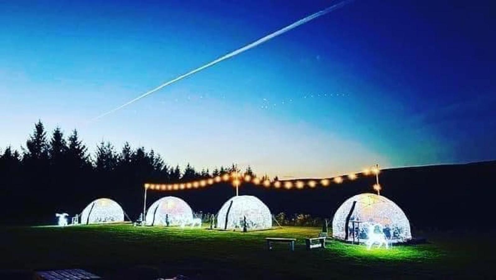 Afan Forest Retreat Cozy Getaway, Pet Friendly Cymmer Экстерьер фото